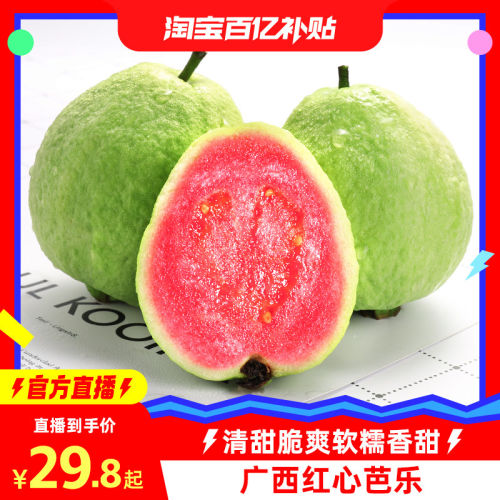 广西红心芭乐番石榴特产9