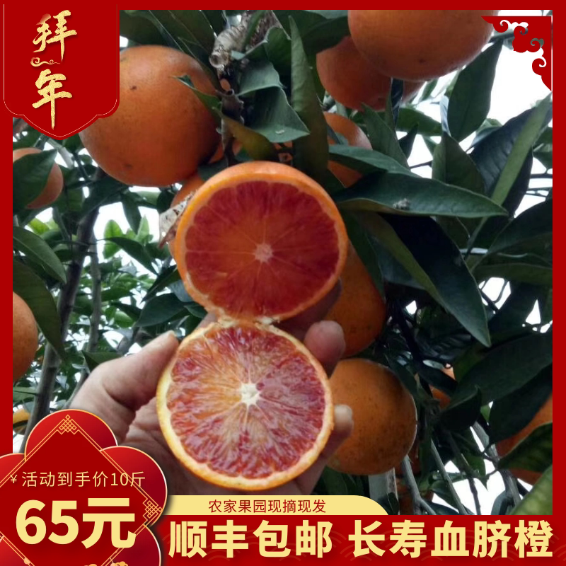 长寿湖血脐橙塔罗科包邮重庆特产新鲜现摘现发礼箱装血脐橙