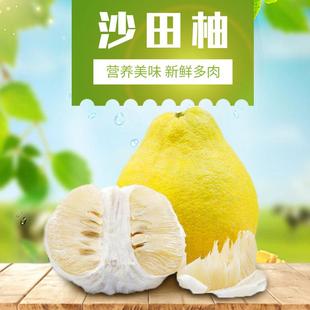 正宗江永香柚湖南永州特产纯甜沙田柚新鲜农家薄皮柚老树柚子包邮