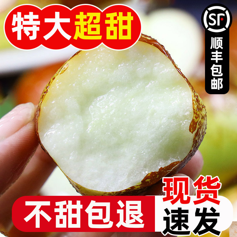 山东新鲜大枣脆甜特大5斤水果当季冰糖孕妇枣子整箱顺丰