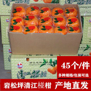 湖北宜昌长阳正宗岩松坪清江椪柑芦柑橘子新鲜孕妇水果特级果碰柑
