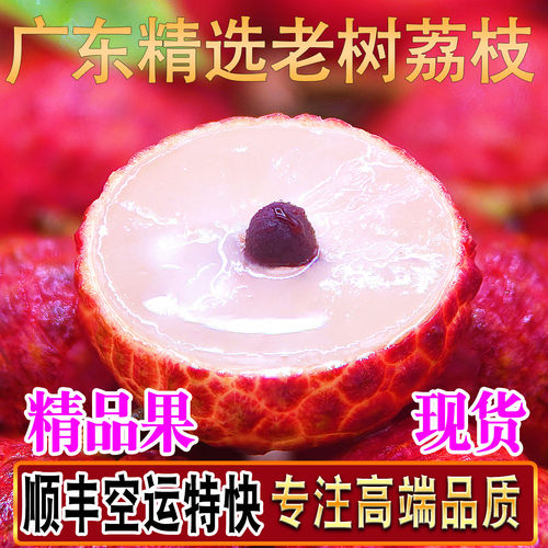 广东老树桂味荔枝新鲜202