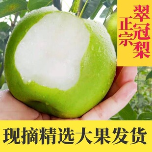 翠冠梨四川广元苍溪脆冠梨当季水果雪梨皇冠青皮香甜梨整箱鲜果