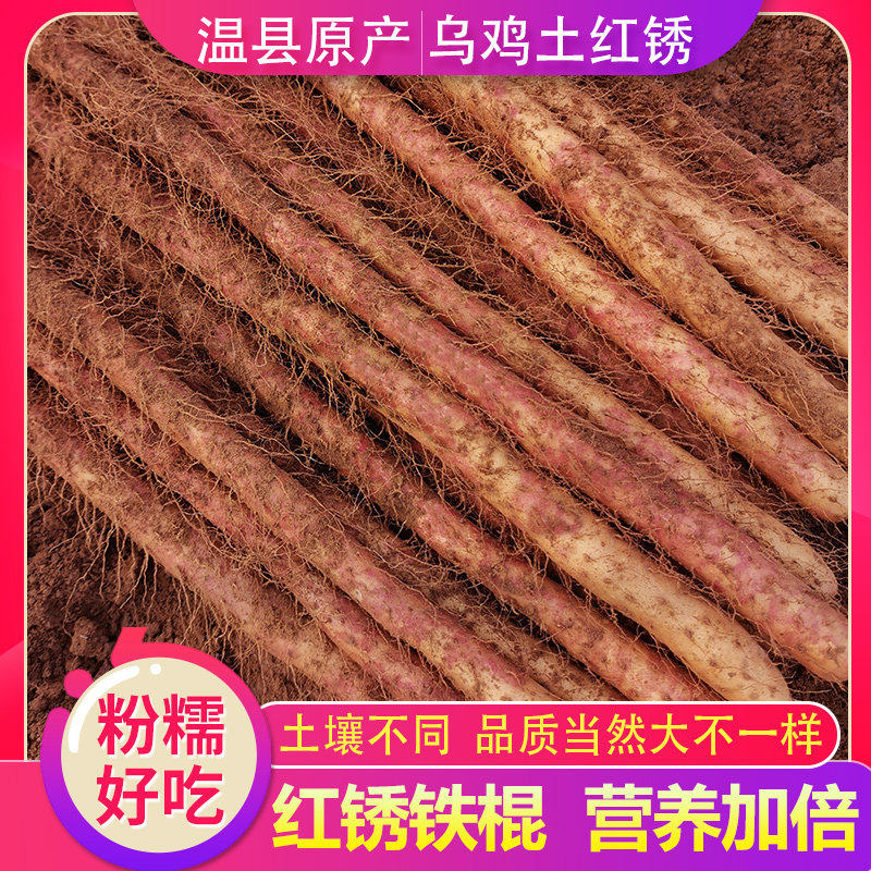 焦作温县红皮乌骨鸡土铁棍山药河南铁杆怀山约特产铁棒新鲜淮山5