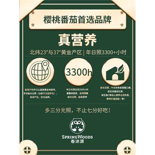 【感恩回馈】春沐源樱桃番茄红黄绿多色礼盒装代餐圣女果3斤装