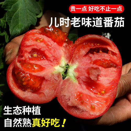 密农人家沙瓤西红柿大番