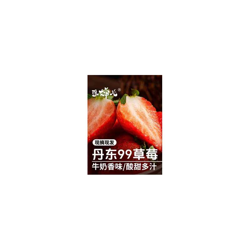 蛋婶儿丹东草莓新鲜99奶油九九红颜大水果鲜果礼盒牛奶孕妇辽宁