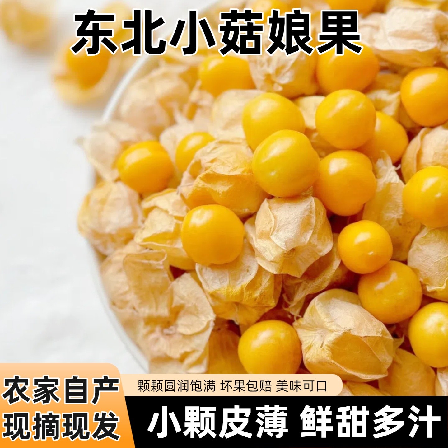 姑娘果新鲜东北黄菇娘果薄皮小金豆灯笼果新鲜当季水果姑鸟果现摘