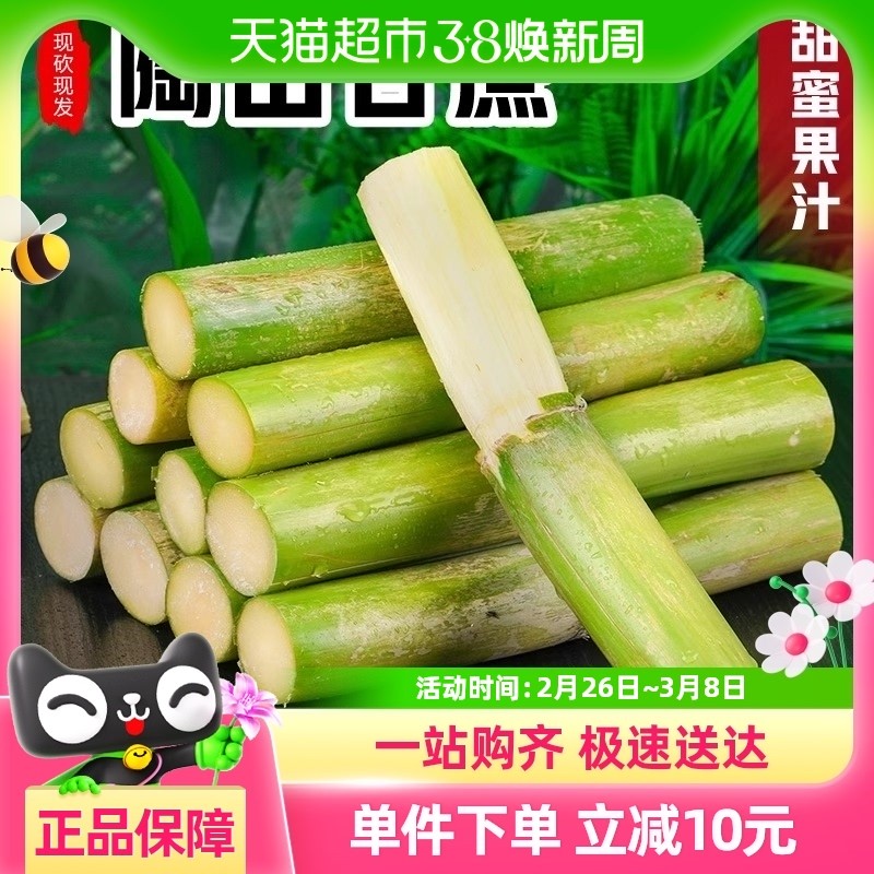 顺丰陶山甘蔗青皮绿皮甘蔗孕妇新鲜水果应季果蔗现砍发脆甜甘蔗