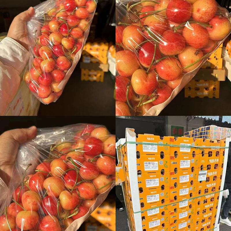 智利进口皇家雷尼尔黄金车厘子新鲜黄色大樱桃4J新鲜孕妇水果顺丰