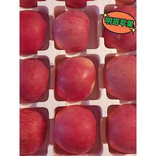 红富士苹果新鲜甜脆糖心正宗绥中产地直发5斤包邮当季送礼水果
