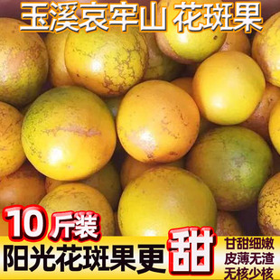 云南正宗哀牢山花斑果玉溪冰糖橙10斤爆甜橙子新鲜水果当季儿童