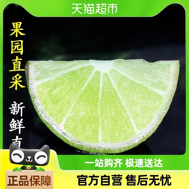 新鲜青柠檬皮薄多汁一级果独立包装香水柠檬奶茶店专用
