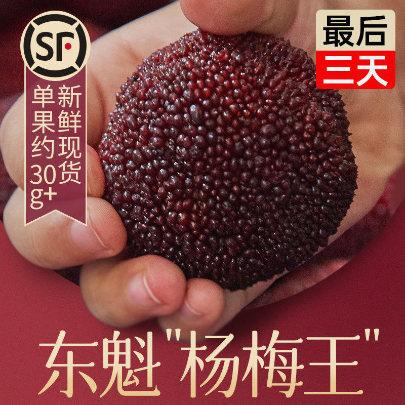 【“杨梅王”奢华送礼】浙江正宗仙居东魁杨梅新鲜特大杨梅礼盒装