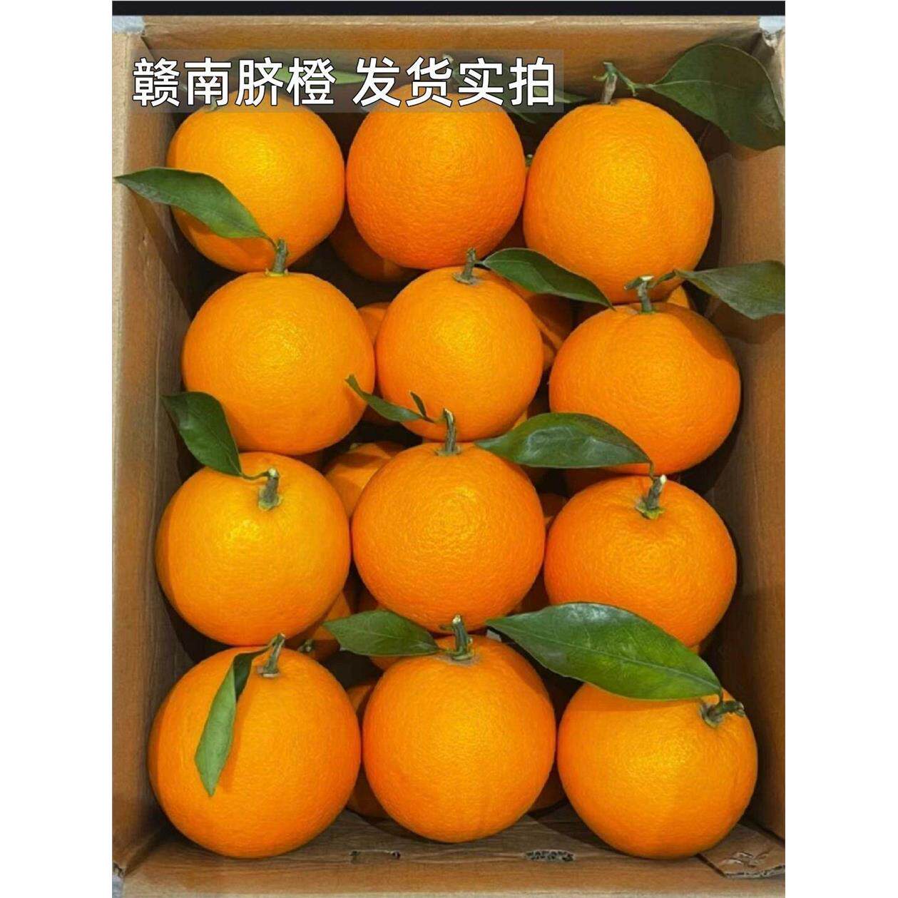 江西赣南脐橙新鲜水果10斤装果农自产自销产地直发维C之王