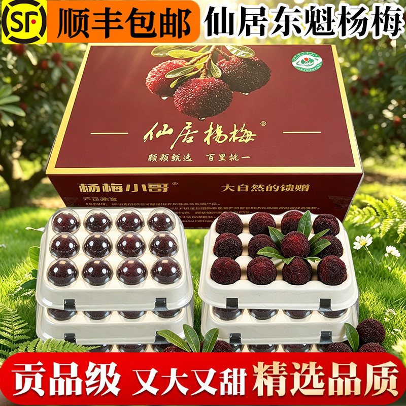 现货速发正宗仙居东魁杨梅新鲜鲜果当季孕妇水果96颗礼盒装大果