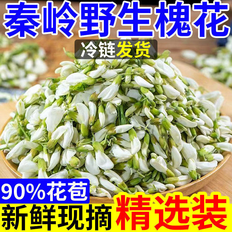 【不新鲜包赔】2025秦岭野生槐花新鲜洋槐花当季现摘花骨朵野菜