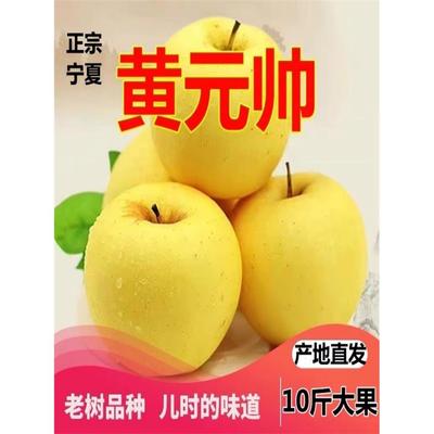 正宗宁夏富硒黄元帅苹果