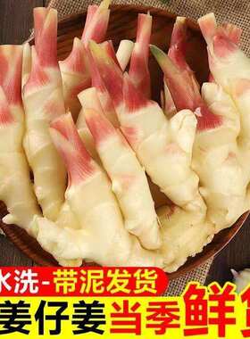 四川新鲜嫩姜仔姜泡菜姜