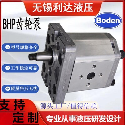 新款齿轮泵BHP3A0D55C2L2/D20/D26/D33/D4I6/D50/D52/D39/D63/包