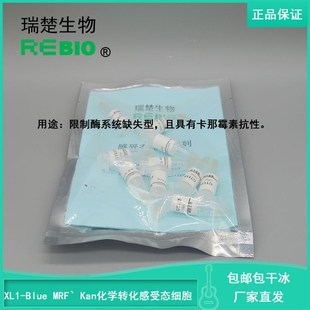 顺丰包邮包干冰XL1-Blue MRF Kan化学O转化感受态细胞大肠杆菌