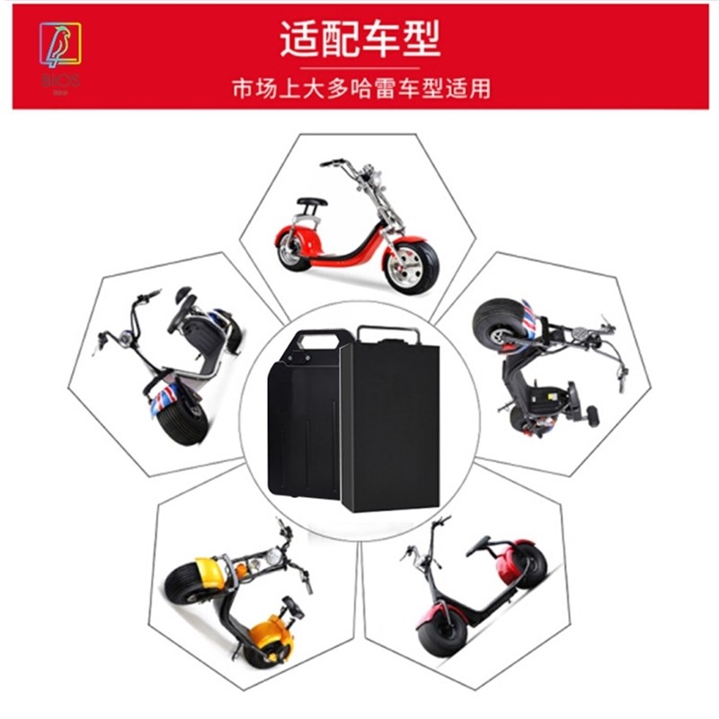 48V60V 电动摩托车哈雷车X7X10款H电池大容量锂电池可拆卸带外壳