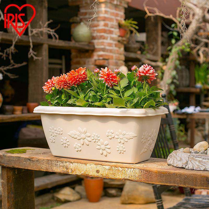 爆款塑料树脂长方形太阳花花盆阳台种花种菜盆长条月季小花盆,家居饰品,花盆,淘宝优惠券,粉丝福利购,淘宝优惠卷