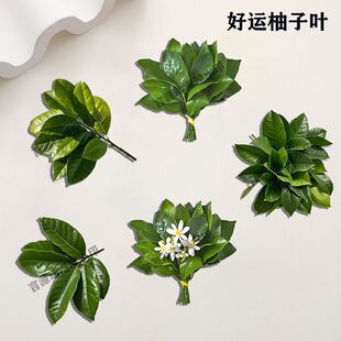 柚子叶去晦气胸针转运幸运亚克力别针衣服书包笔袋高颜值徽章饰品