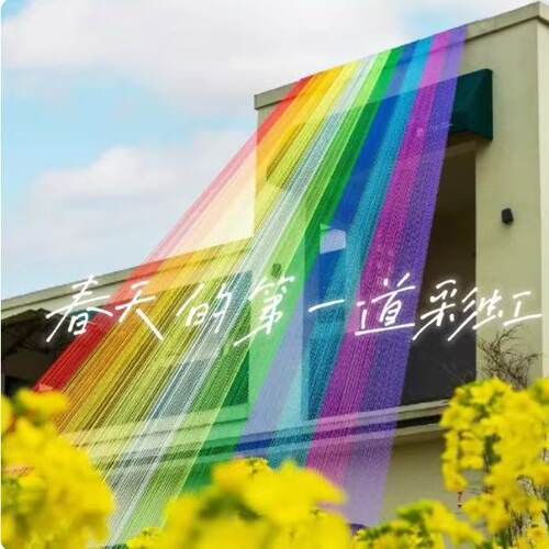 彩虹线装置网红打卡户外