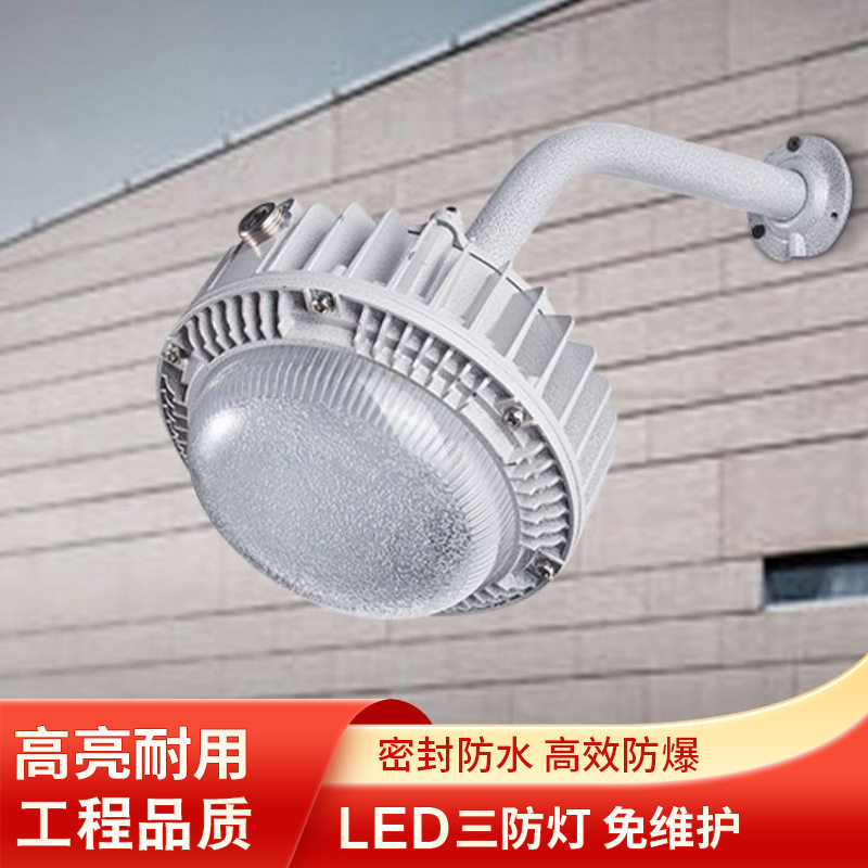 led三防灯工业照明防水防尘厂房仓库加油站化工厂防爆平台灯