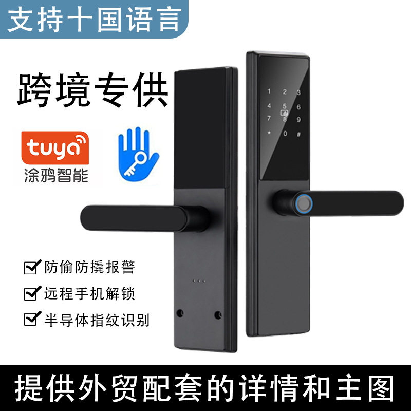 跨境爆款直销涂鸦通通锁公寓出租房木门智能密码锁木门电子指纹锁