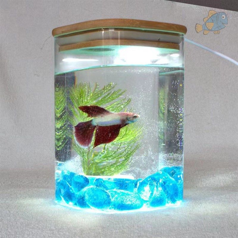 小型玻璃桌面微景观斗鱼缸客厅办公室迷你K水族箱带灯圆柱瓶金鱼,宠物/宠物食品及用品,其它水族用具设备,淘宝优惠券,粉丝福利购,淘宝优惠卷