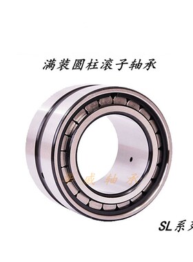 满装圆柱滚子轴承SL04/NNF5028 045030 045032 0450T34 045036PP