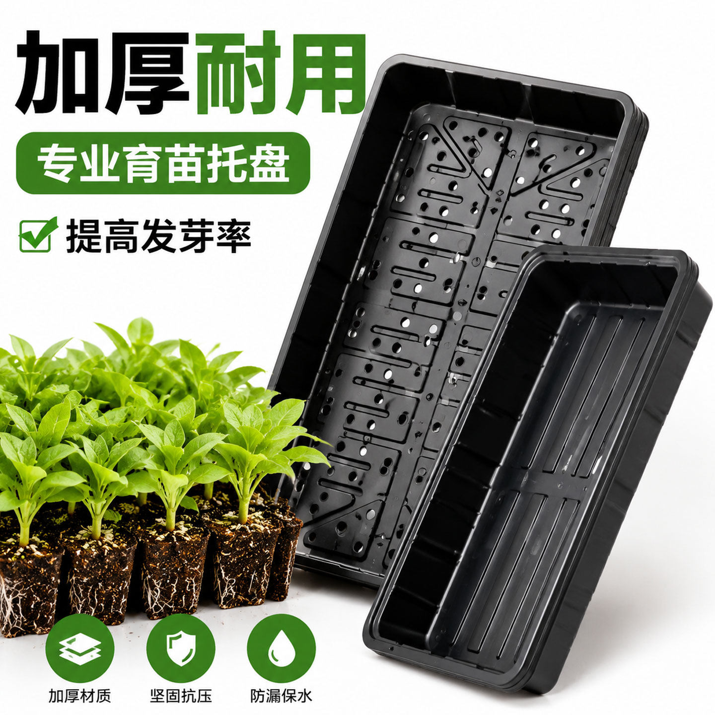 蝴蝶兰特厚PVC育苗托盘