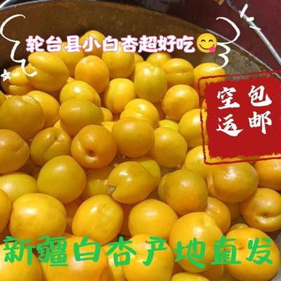 新疆轮台县新鲜夏季水果小白杏4斤装超级好吃肉嫩多汁产地直发