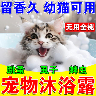 猫咪洗澡沐浴露去跳蚤杀菌除螨去蜱虫虱子止痒洗护二合一浴液M