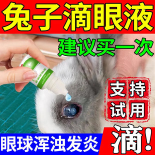 兔子滴眼液眼睛红肿发炎眼部流脓流眼泪清洗眼部宠物结膜炎眼药水