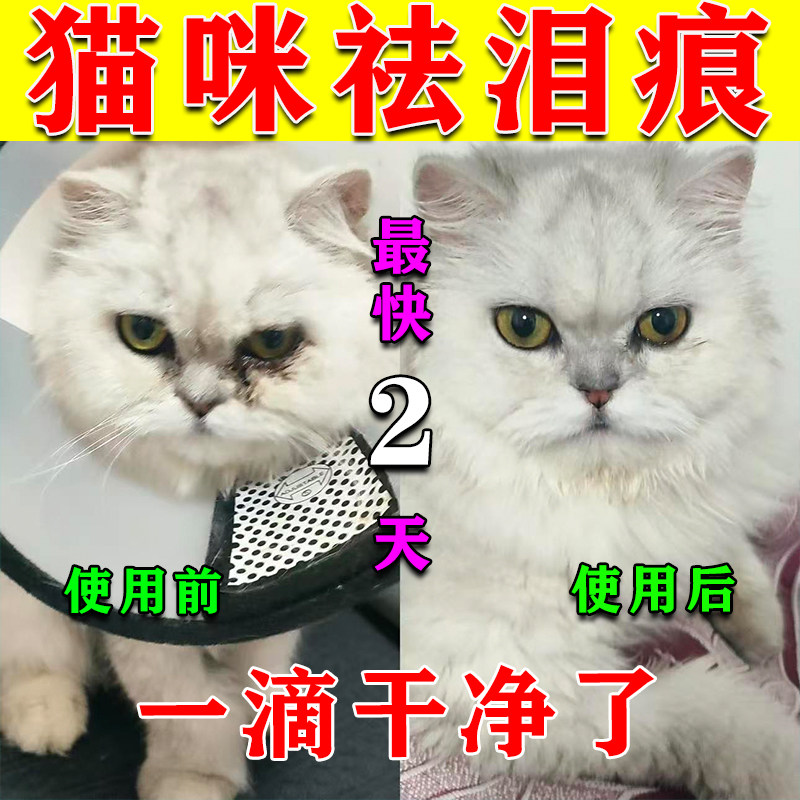猫咪专用滴眼液消去泪痕眼屎多红肿流泪流脓分泌物清洁护理滴眼液