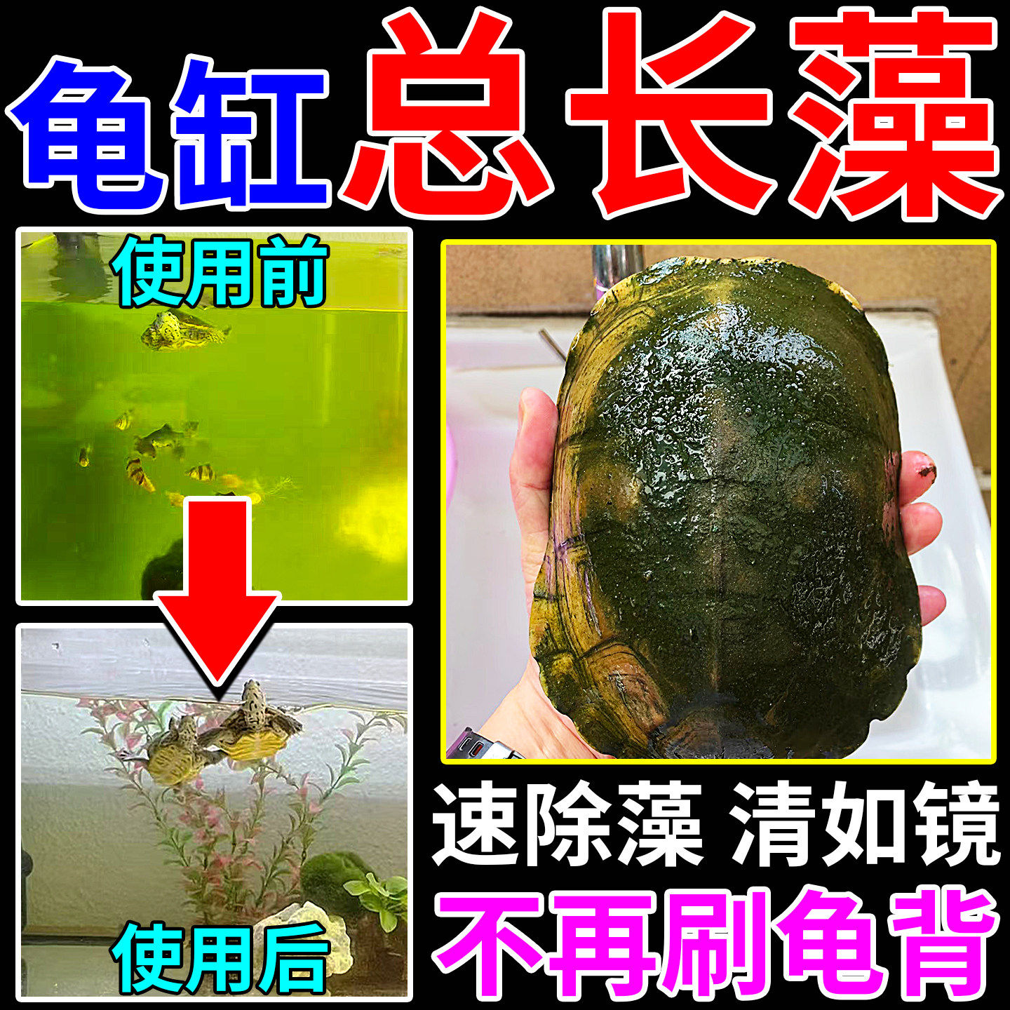 龟缸除藻净化水质稳定剂鱼缸乌龟除藻去苔杀菌剂去壁油膜必备品M