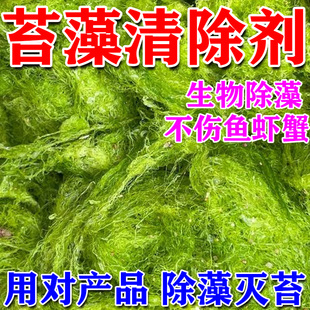 鱼池除藻去苔剂不伤鱼虾蟹速杀青苔灭绿水藻去除剂水池青苔清除剂