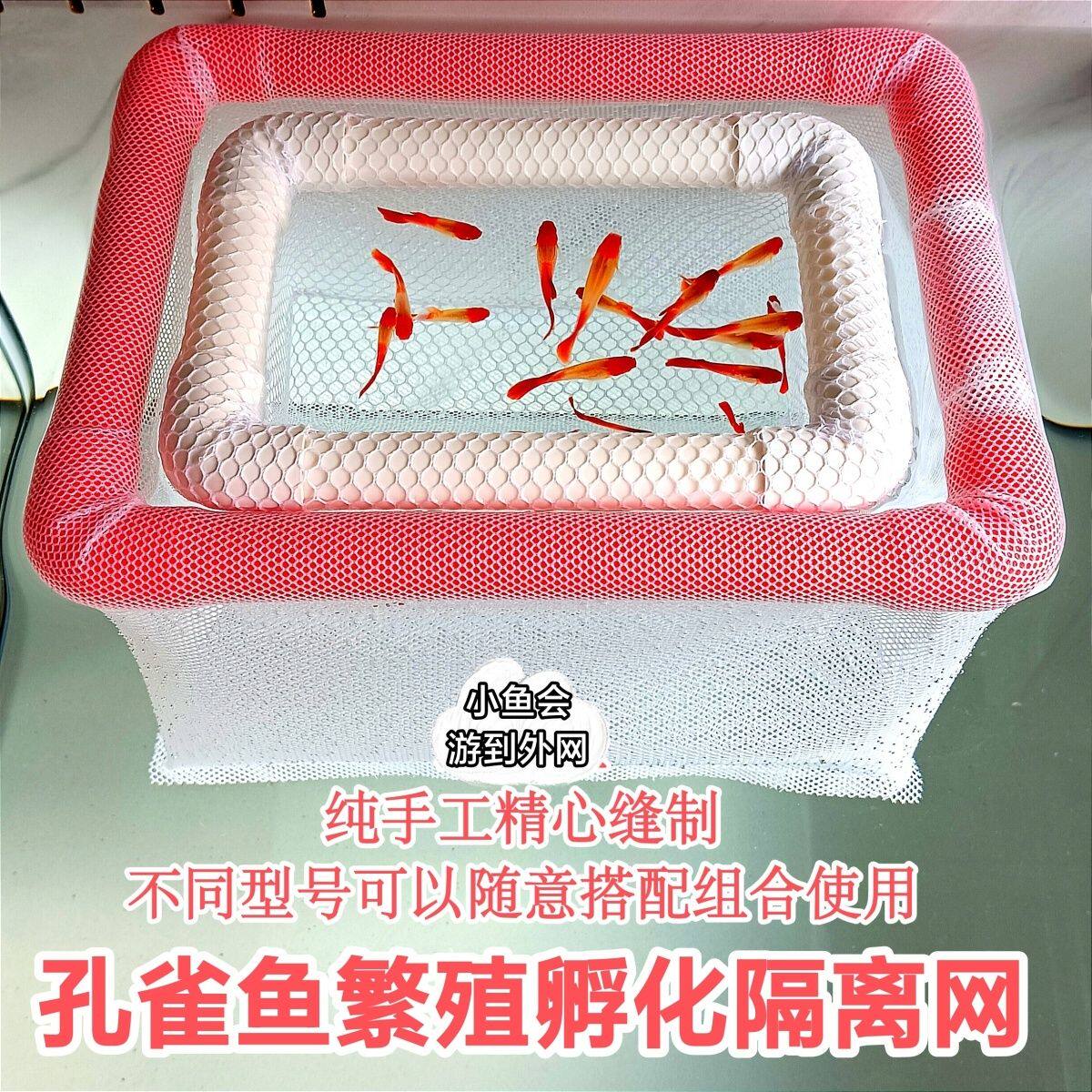 观赏虾鱼苗悬浮繁殖网孔雀鱼隔离饲养盒新款孵化培育设备