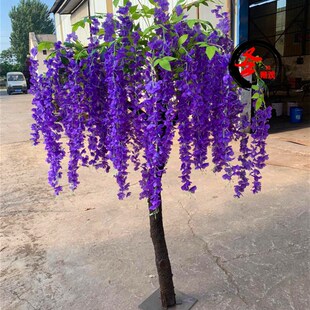 仿真紫藤花树垂柳花树假树假花餐厅饭店装饰落地摆件W客厅装饰假