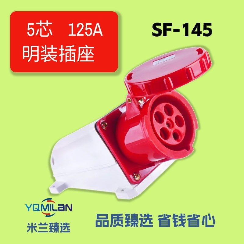 SFE工业插座SF-145 045 u2 3 125A 五极明装插座 IP67 五芯  380V