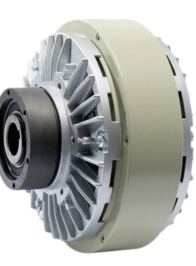 瑞安市中星工控 ZXFy-K-5 孔式磁粉离合器