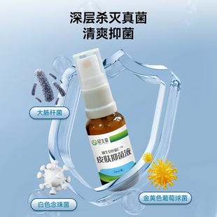 丝瓜仁皮肤消毒抑菌 泵硬结 伤口恢复 褥疮 开放性创口 纯中药