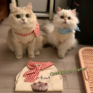 轻薄防掉毛甜品主题可爱服饰衣服金渐层 宠物猫咪狗狗背心春夏新款