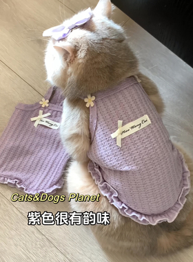 春夏新款宠物防掉毛狗狗猫咪背心华夫格透气服饰项链套装金渐层猫