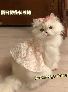 宠物猫咪吊带裙立体刺绣樱花可爱衣服狗狗猫咪公主风金渐层比熊犬