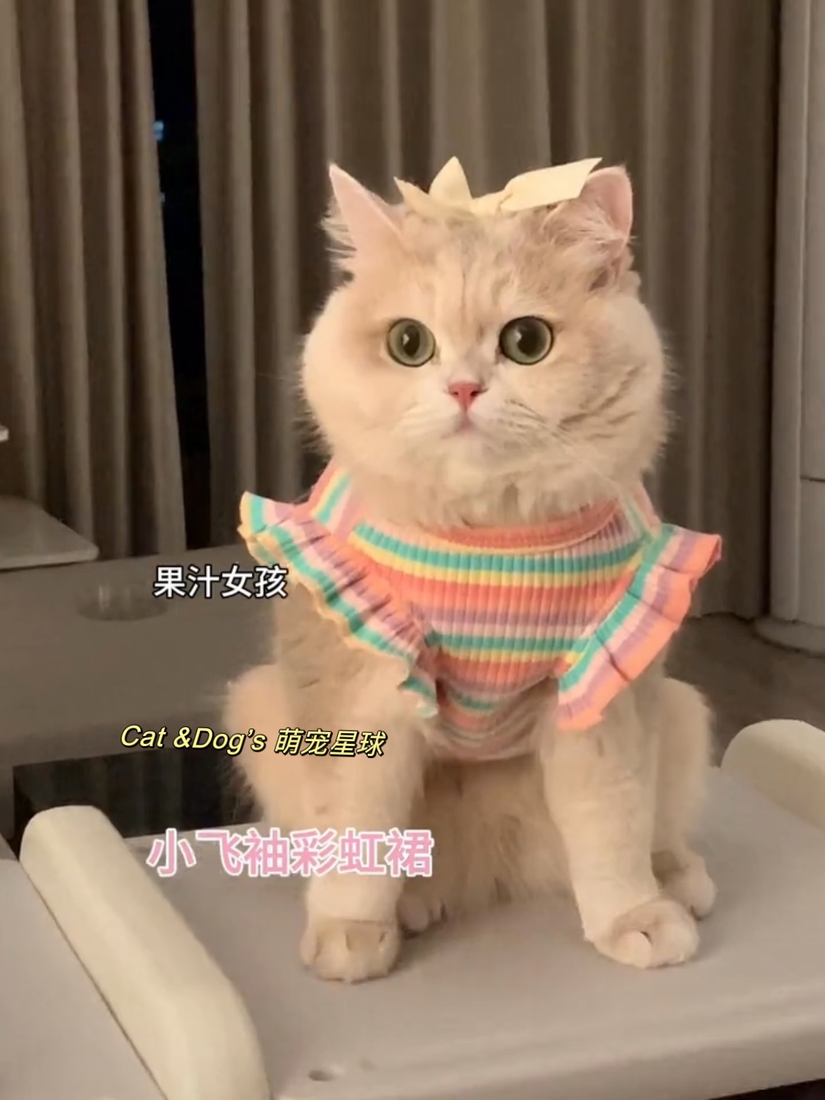 薄荷同款猫咪少女飞袖彩虹裙背心