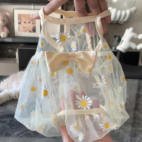 薄荷同款网纱小裙子宠物夏季服装网纱超薄透气吊带裙防飞毛金渐层